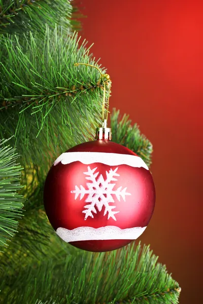 Beautiful Christmas red ball on fir tree Royalty Free Stock Photos