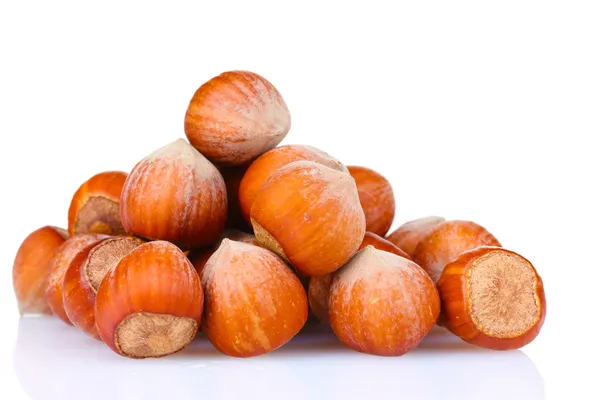 Hazelnuts Stock Image