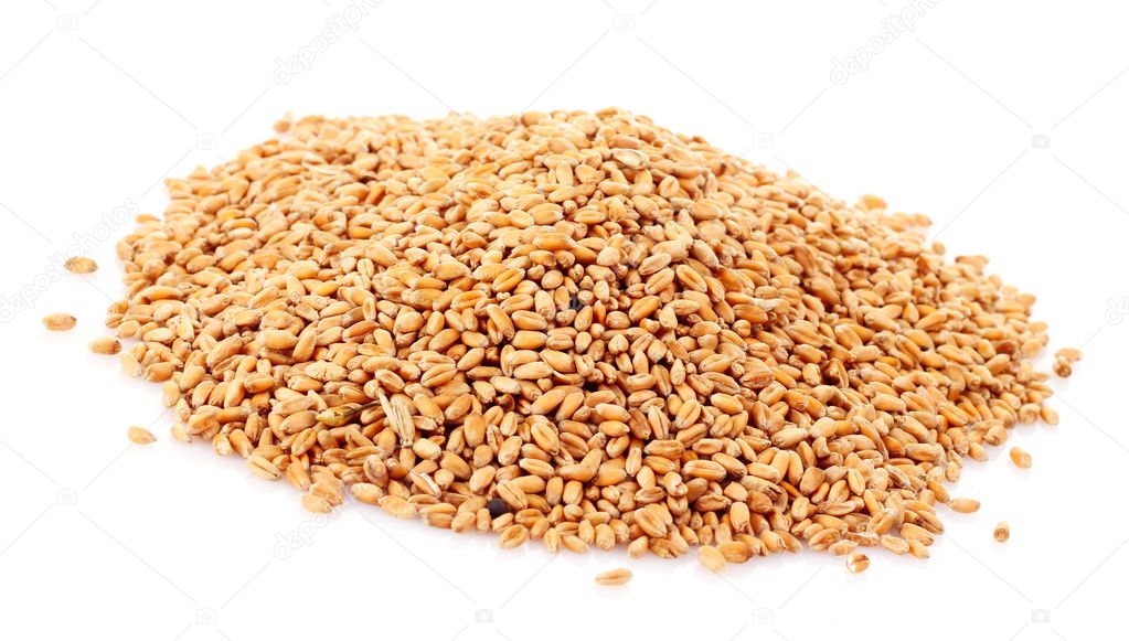 Wheat in bowl isolated on white