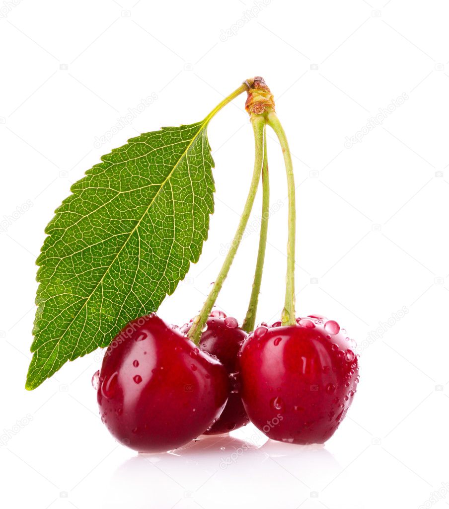 Cherries with leaf isolated on white background