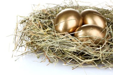 Golden eggs clipart