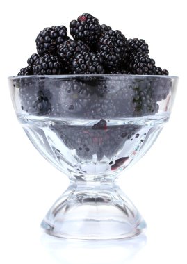 :beautiful blackberries