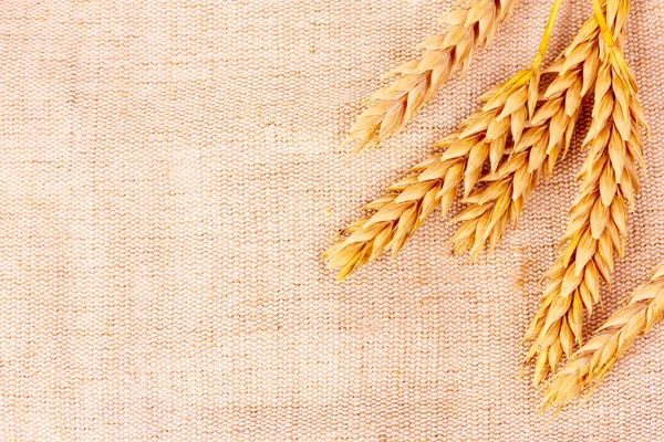 Pšenice na vyhození pozadí — Stock fotografie