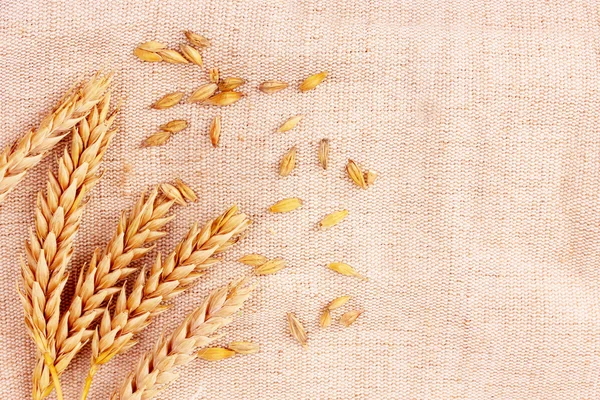 Arka plan çuval bezi üzerinde buğday — Stok fotoğraf