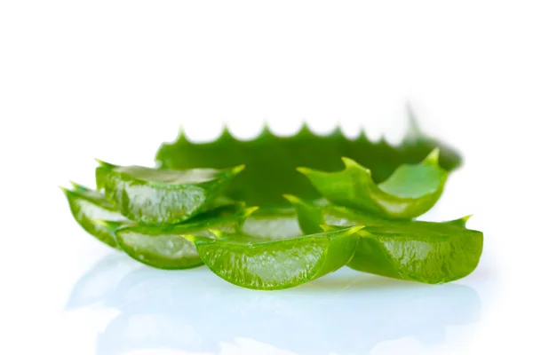 Chopped leaf aloe vera — Stock Photo, Image