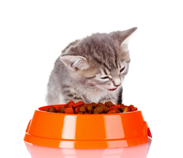 美丽的灰色小猫和孤立在白色的碗里干食品 — 图库照片