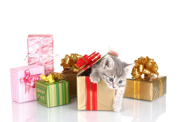 Αστεία γατάκι και φωτεινά δώρα που απομονώνονται σε λευκό — Φωτογραφία Αρχείου