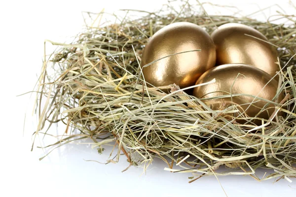 Arany-tojás — Stock Fotó