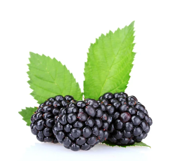 :아름 다운 검은 딸기 — 스톡 사진