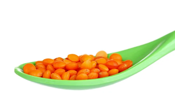 Lentils in green plastic spoon — Stock Photo, Image