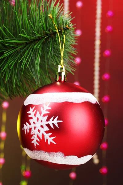 Piękny piłka Boże Narodzenie czerwony na świerk — Zdjęcie stockowe