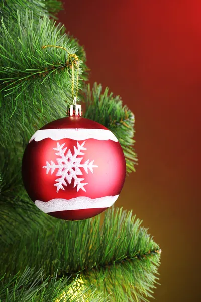 Bela bola vermelha de Natal no abeto — Fotografia de Stock