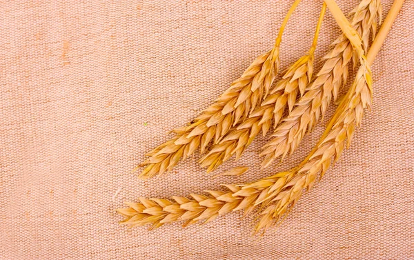 Wheat on sacking background — Stock Photo, Image