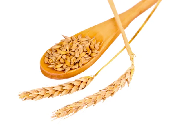Пшеница в ложке изолированы на белом — стоковое фото