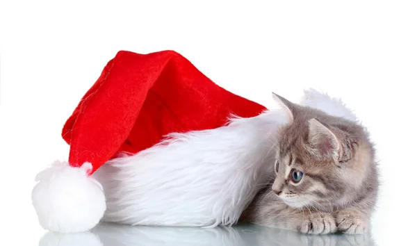 Beautiful gray kitten and Christmas hat isolated on white — Stock Photo, Image