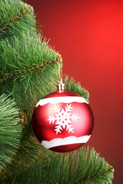 Красивый рождественский красный шар на елке — стоковое фото