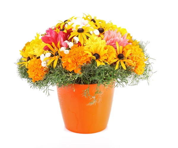 Blumenstrauß in der Vase auf weißem Hintergrund — Stockfoto
