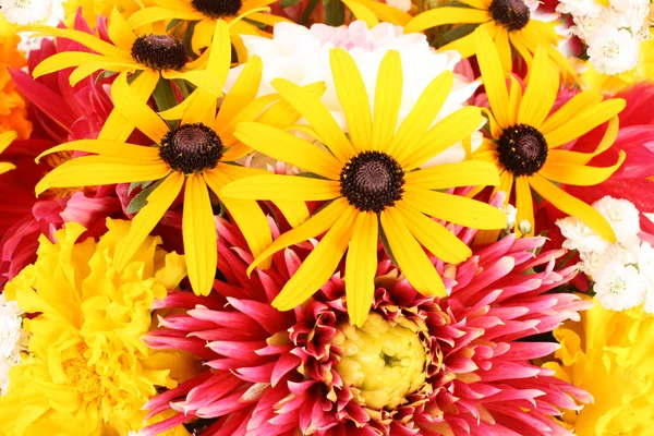 Fondo de flores multicolor —  Fotos de Stock