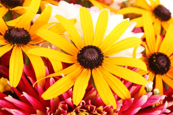 Mehrfarbige Blume Hintergrund — Stockfoto