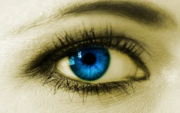 Blå kvinna öga närbild — Stockfoto
