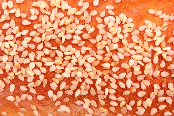 Semi di girasole freschi su uno sfondo di pane — Foto Stock