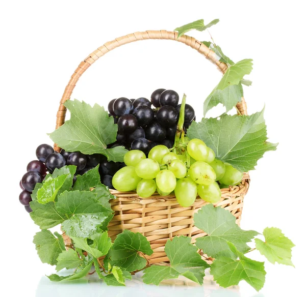 Спелый виноград в корзине — стоковое фото