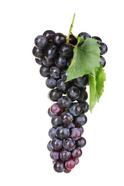Uvas vermelhas maduras isoladas — Fotografia de Stock