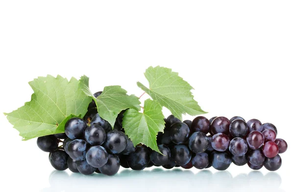 Ripe red grapes isolated — Stock Photo, Image