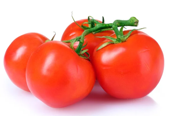 Красивые свежие помидоры — стоковое фото