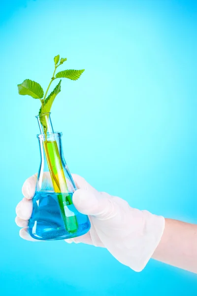 식물 및 손 테스트 튜브 — 스톡 사진