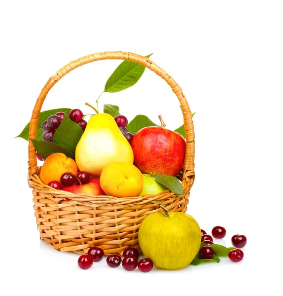 Backet lezzetli bir yaz meyve — Stok fotoğraf