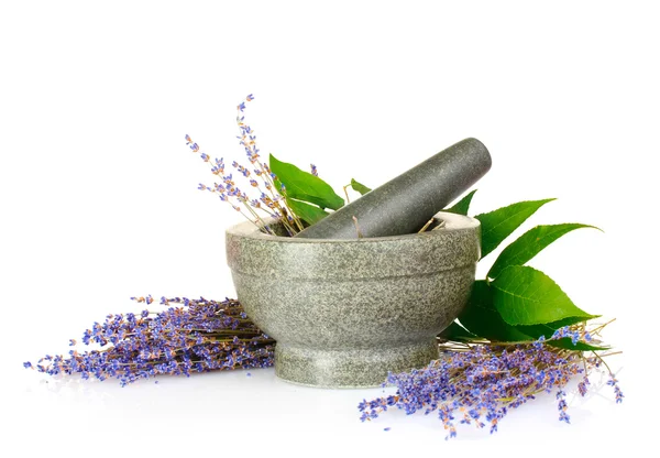Beautiful lavender in a mortar — Stock Photo, Image