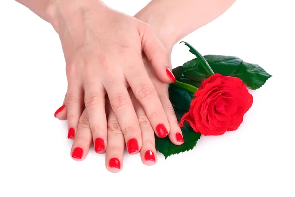 Schöne rote Maniküre und Blume — Stockfoto