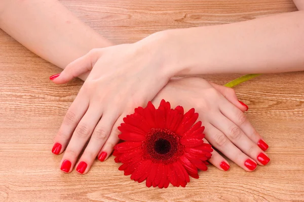 Szép piros manikűr és virág — Stock Fotó