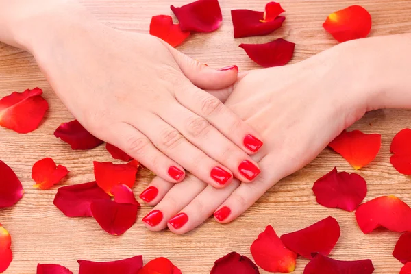 Krásná červená manikúra a květina — Stock fotografie