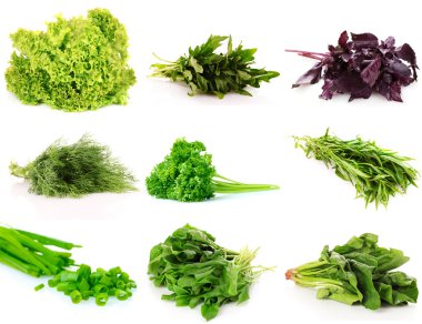 Collage of culinary greens. isolated on white clipart