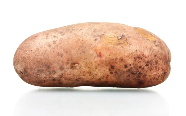 Картофель изолирован на белом — стоковое фото