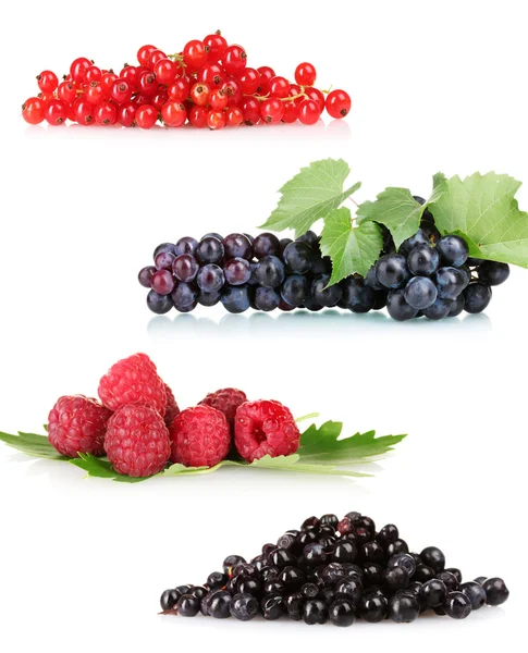 Collection of fresh ripe berry — Stock Photo, Image