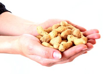 Peanuts in hand isolated on white