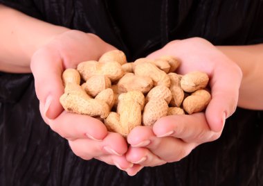 Peanuts in hand clipart