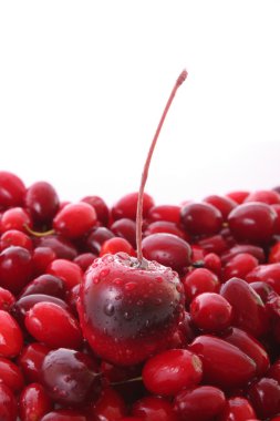 Cranberries beyaz zemin üzerine