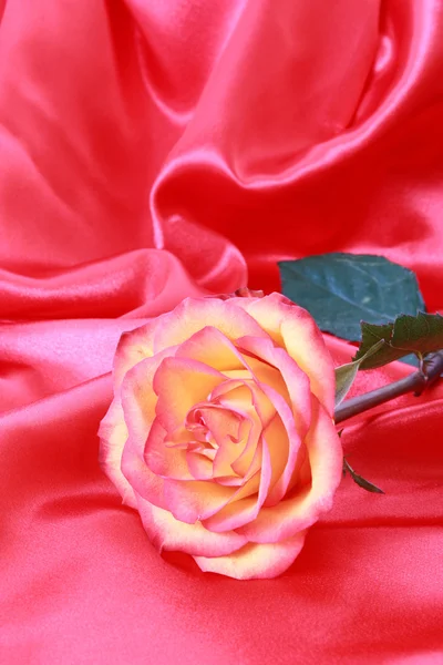 Όμορφο τριαντάφυλλο κόκκινο σε ροζ σατέν — Φωτογραφία Αρχείου