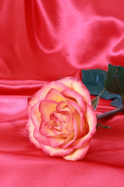 Vacker röd ros på rosa satin — Stockfoto
