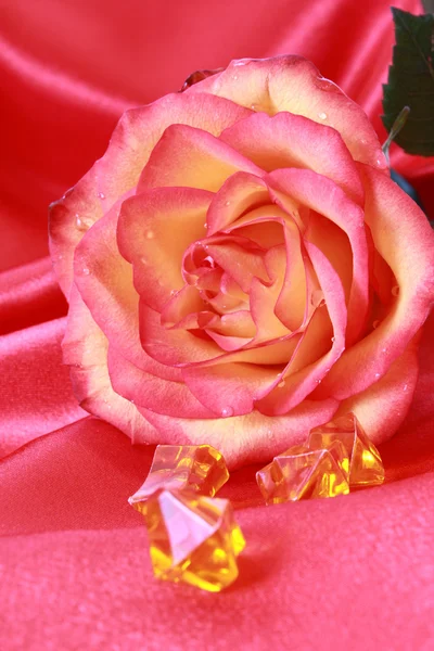 ピンクのサテンに美しい赤いバラ — ストック写真