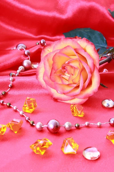 Rosa rosa sobre el fondo textil — Foto de Stock