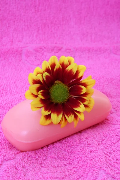 Soap, flower and towel on pink — Stock Photo, Image