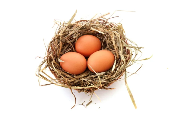 Three eggs in nest isolated on white — Stock Photo, Image