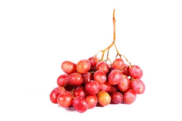 Pink grapes branch closeup isolated on the white background. — Stock Photo, Image