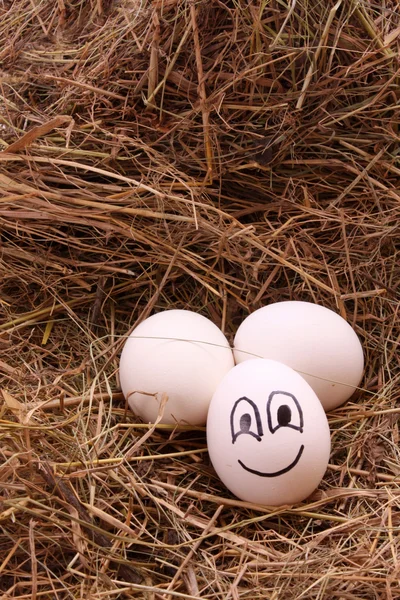 Eggs on hay — Stock Photo, Image
