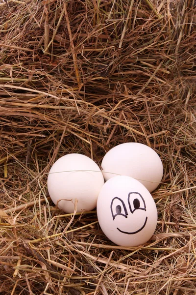Яйца на сене — стоковое фото